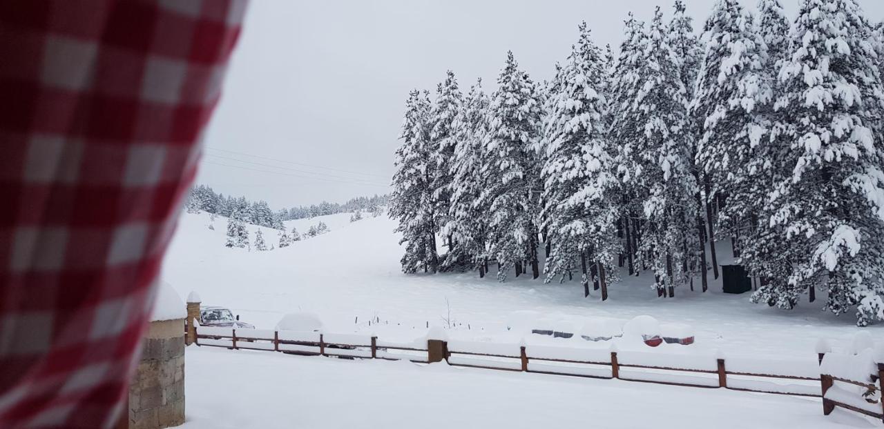 Tornik Studio Zlatibor Buitenkant foto